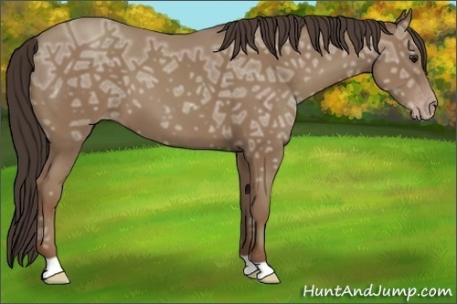 Horse Color:Classic Champagne Ice 