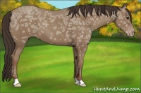 Horse Color:Classic Champagne Ice 