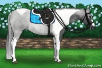 Horse Color:Black Tobiano 