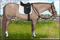 Horse Color:Black Pearl Rabicano