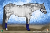 Horse Color:Blue Ice Roan Brindle