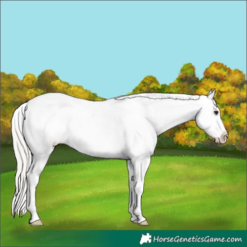 Horse Color:Silver Brown Tobiano Blanket
