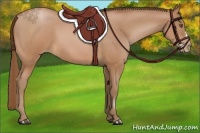 Horse Color:Brown Pearl 