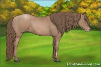 Horse Color:Black Pearl  Brindle