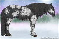 Horse Color:Black Ice Splash Brindle