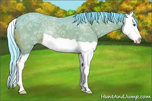 Horse Color:Watercolor Bay Ice Splash