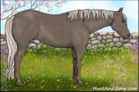 Horse Color:Silver Black 