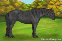 Horse Color:Black Brindle