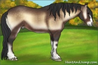 Horse Color:Bay Onyx 