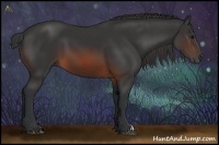 Horse Color:Brown 