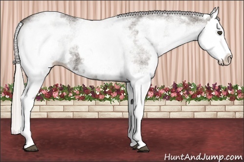 Horse Color:White Spotted Silver Black Splash 
