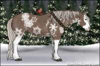 Horse Color:White Spotted Silver Black Ice Splash