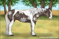 Horse Color:Silver Black Ice Splash Tobiano Frame Brindle