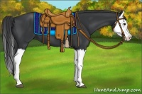 Horse Color:Black Splash 