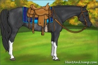 Horse Color:Black Rabicano 