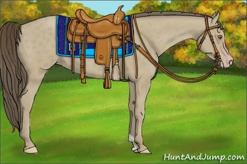 Horse Color:Classic Cream Champagne