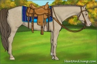 Horse Color:Classic Cream Champagne