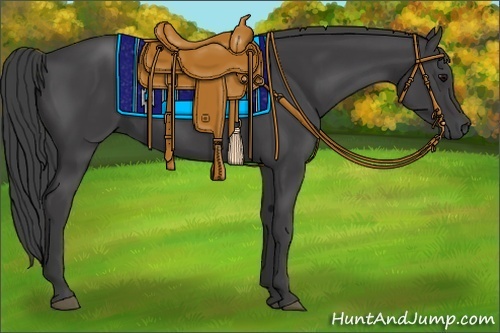 Horse Color:Smoky Black 