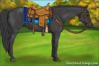 Horse Color:Smoky Black 