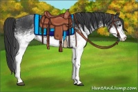 Horse Color:White Spotted Black