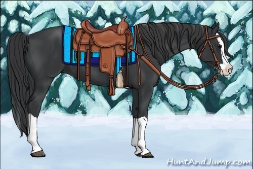 Horse Color:Black Splash 