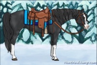 Horse Color:Black Splash