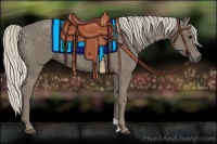 Horse Color:Silver Smoky Black 