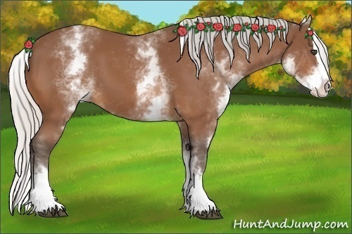 Horse Color:White Spotted Silver Bay Splash 