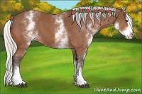 Horse Color:White Spotted Silver Bay Splash 