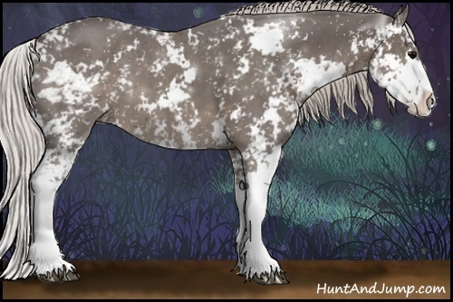 Horse Color:Silver Black Sabino 