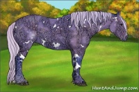 Horse Color:Watercolor White Spotted Silver Black Ice Rabicano 