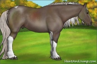 Horse Color:Silver Black Tobiano 