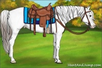 Horse Color:Black Varnish Rabicano 