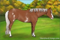 Horse Color:White Spotted Silver Bay Splash 