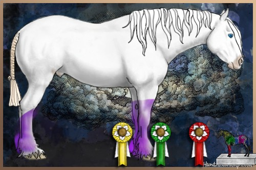 Horse Color:White Spotted Buckskin Pearl Sabino Splash Varnish 