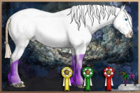 Horse Color:White Spotted Buckskin Pearl Sabino Splash Appaloosa 