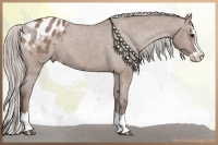 Horse Color:Chocolate Silver Grullo Roan Splash Varnish 