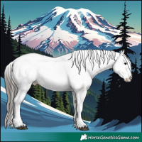 Horse Color:White Spotted Grullo Near Leopard Brindle