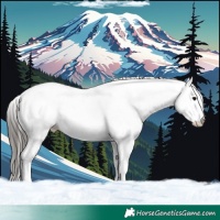 Horse Color:White Spotted Grullo Near Leopard Brindle 