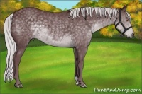 Horse Color:Chocolate Silver Black Chinchilla 