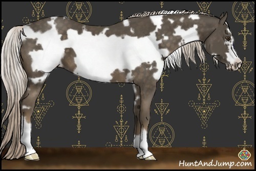 Horse Color:White Spotted Chocolate Palomino Frame