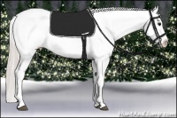 Horse Color:Silver Brown Roan Near Leopard 