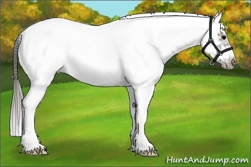 Horse Color:White Spotted Grullo Splash Tobiano Frame Blanket