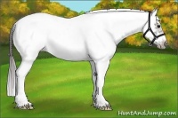 Horse Color:White Spotted Grullo Splash Tobiano Frame Blanket