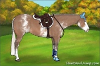 Horse Color:White Spotted Silver Bay Splash 