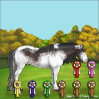 Horse Color:White Spotted Brown Tobiano 
