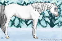 Horse Color:White Spotted Black Splash Frame Appaloosa