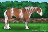 Horse Color:White Spotted Silver Bay Splash 