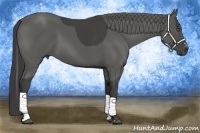 Horse Color:Smoky Black Sabino Tobiano