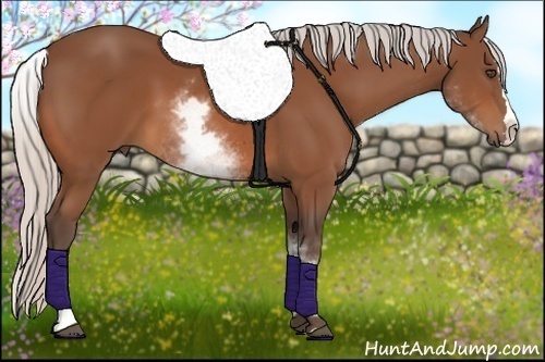 Horse Color:White Spotted Silver Bay Splash